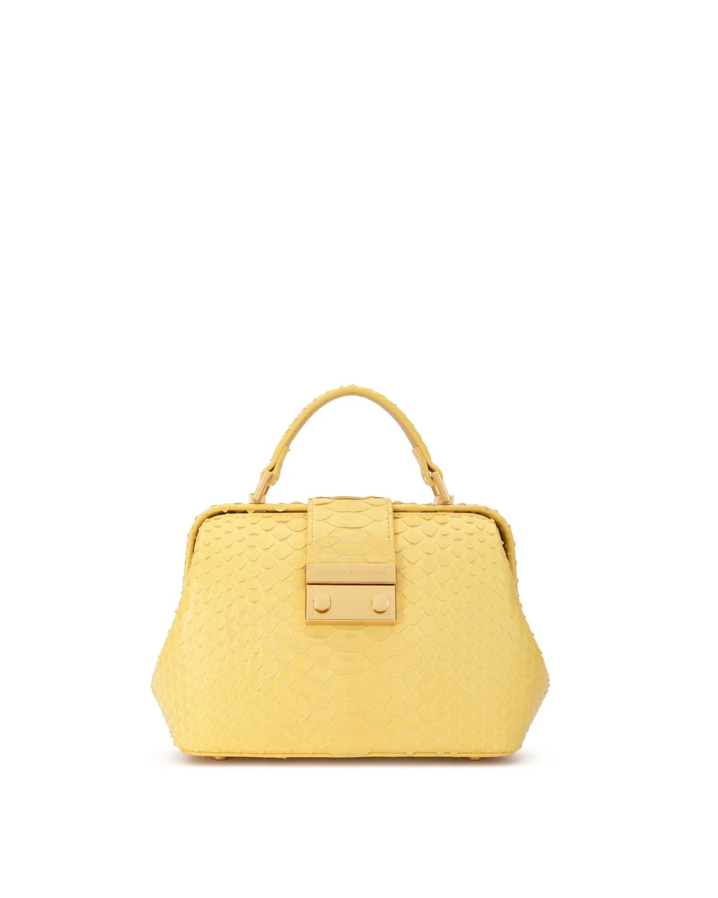 Elizabeth Doctor Bag