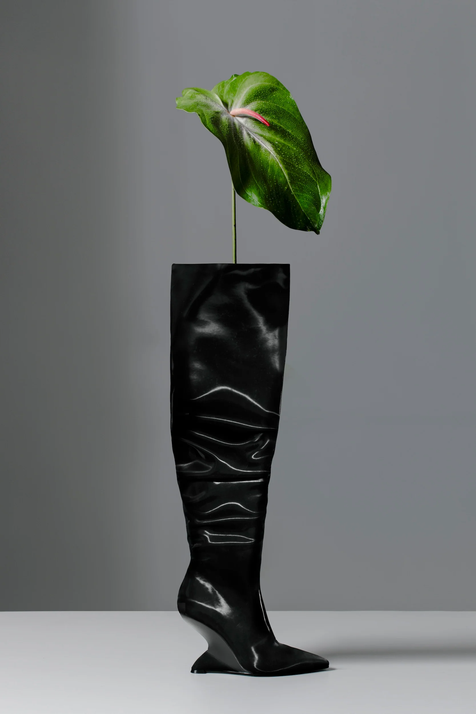 Paloma Boot - Image 3